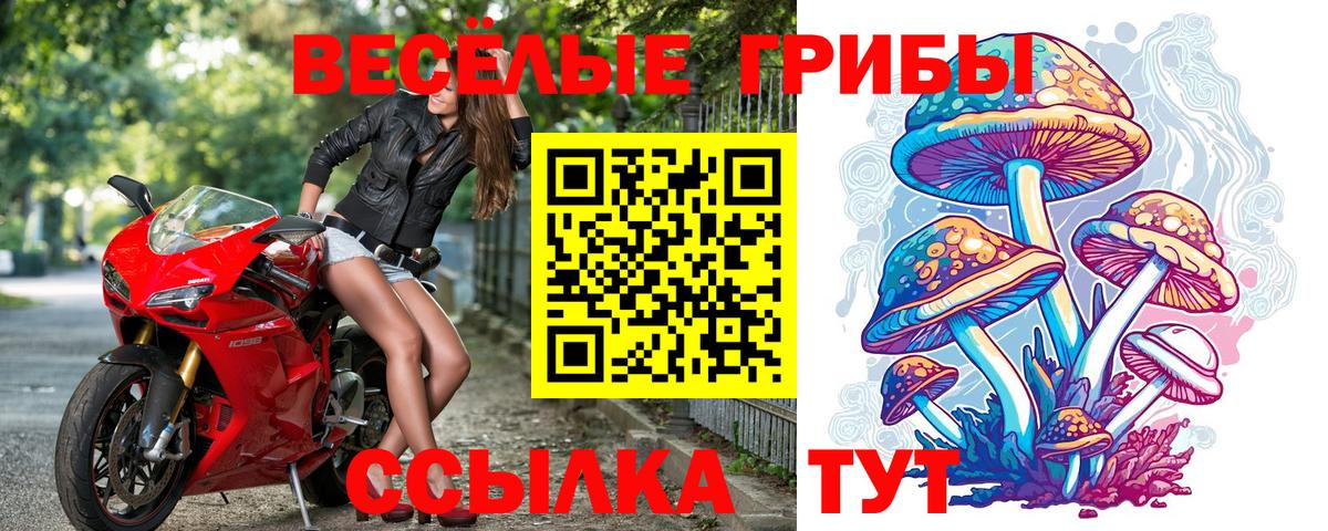 Малоярославец  Галлюциногенные грибы Psilocybine cubensis  Вход с VPN 